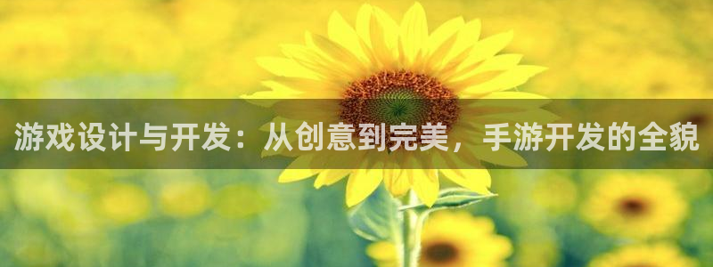 28大神预测app苹果：游戏设计与开发：从创意到完美，手游开