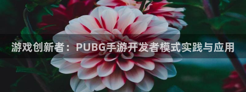 蓝图娱乐预测在线预测专业28：游戏创新者：PUBG手游开发者