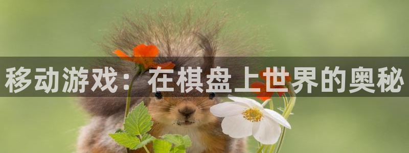 大神pc28在线预测：移动游戏：在棋盘上世界的奥秘