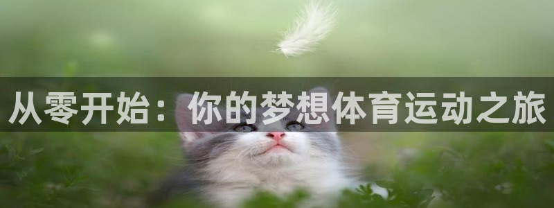 球王会体育：从零开始：你的梦想体育运动之旅