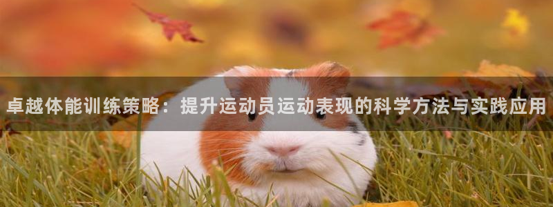 球王会体育：卓越体能训练策略：提升运动员运动表现的科学方法与实践应用