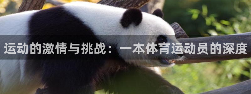 球王会体育：运动的激情与挑战：一本体育运动员的深度