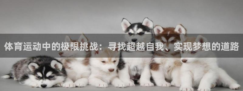 球王会体育：体育运动中的极限挑战：寻找超越自我、实现梦想的道路