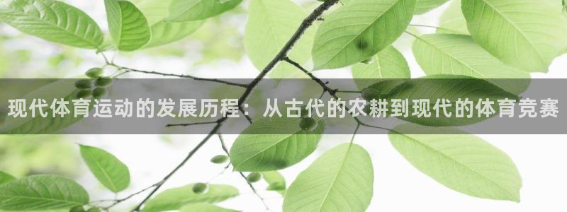 球王会体育：现代体育运动的发展历程：从古代的农耕到现代的体育竞赛