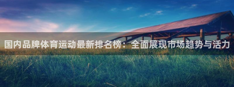 球王会体育：国内品牌体育运动最新排名榜：全面展现市场趋势与活力