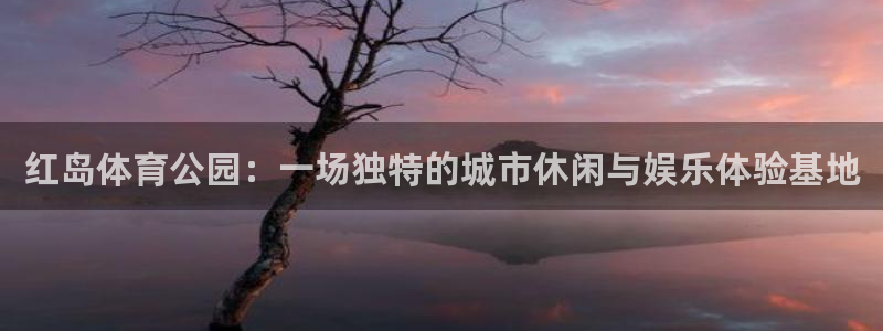 球王会体育：红岛体育公园：一场独特的城市休闲与娱乐体验基地