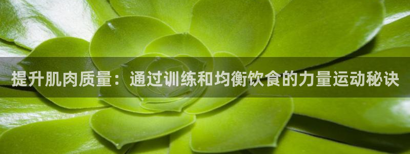 球王会体育：提升肌肉质量：通过训练和均衡饮食的力量运动秘诀